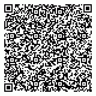 vCard 79580100874