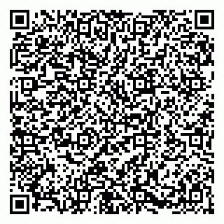 vCard 79580100875
