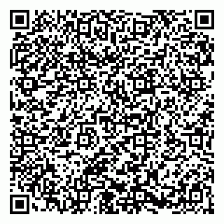 vCard 79580100878