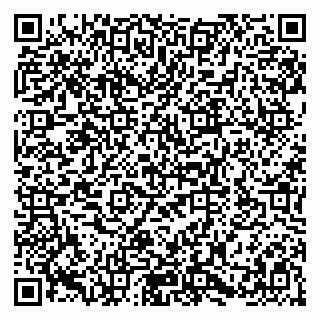 vCard 79580100881