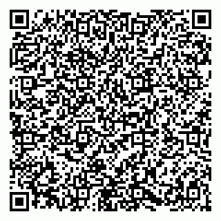 vCard 79580100890