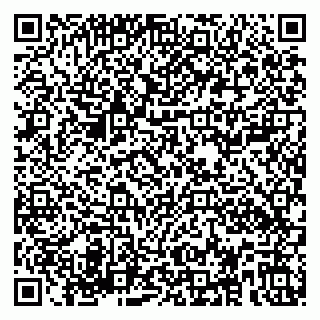 vCard 79580100891