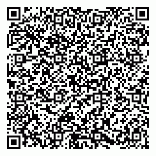 vCard 79580100894