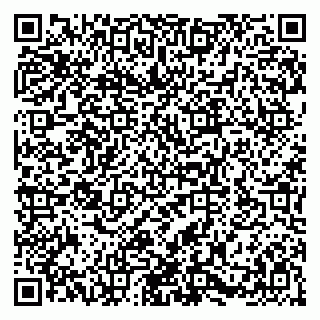 vCard 79580100905
