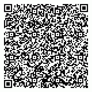 vCard 79580100910