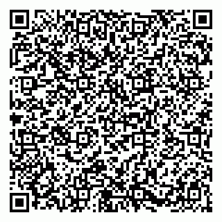 vCard 79580100918