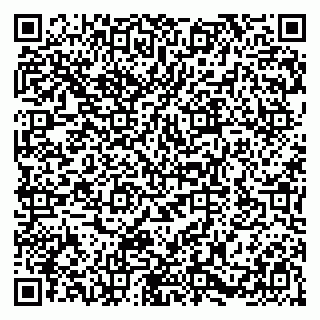 vCard 79580100919