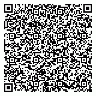 vCard 79580100933
