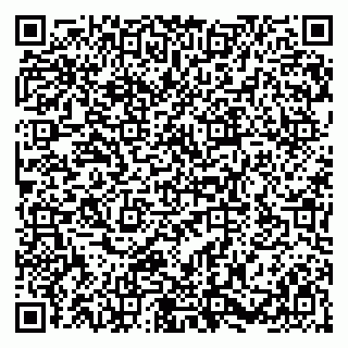 vCard 79580100937