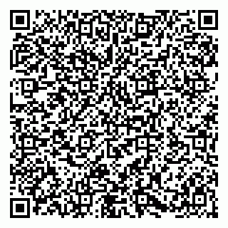 vCard 79580100987