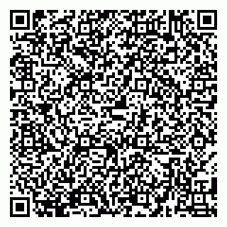 vCard 79580100993