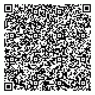vCard 79580100995