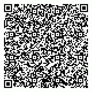 vCard 79580100996