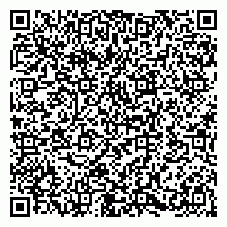 vCard 79580100999