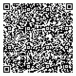 vCard 79580101000