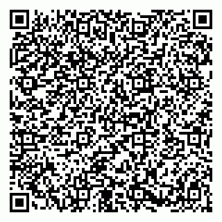 vCard 79580101002