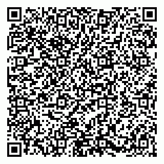 vCard 79580101003