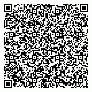 vCard 79580101006