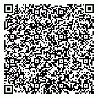 vCard 79580101011