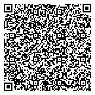 vCard 79580101013