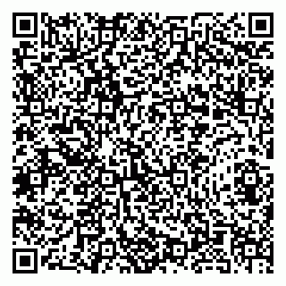 vCard 79580101031