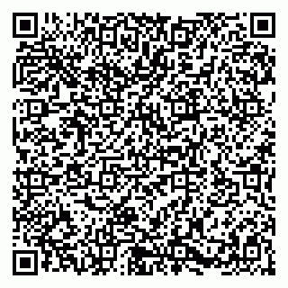 vCard 79580101100