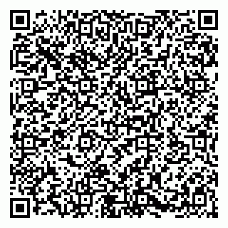 vCard 79580101171