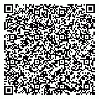 vCard 79580101221