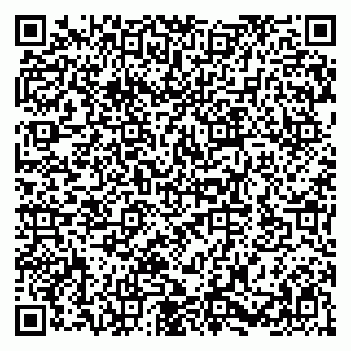 vCard 79580101234