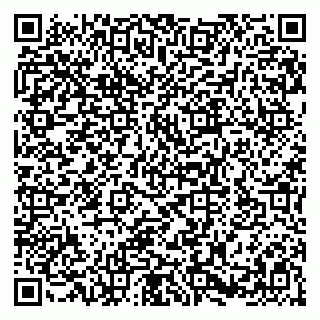 vCard 79580101271