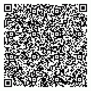 vCard 79580101273