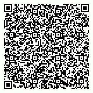 vCard 79580101287