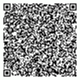vCard 79580101290