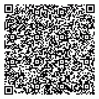 vCard 79580101291
