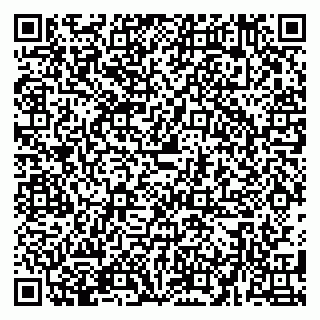vCard 79580101311