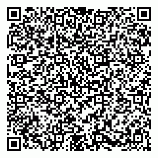 vCard 79580101321