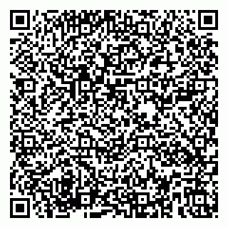 vCard 79580101331