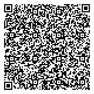 vCard 79580101381