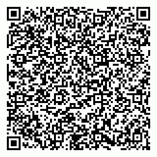 vCard 79580101393