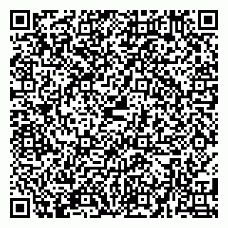 vCard 79580101411