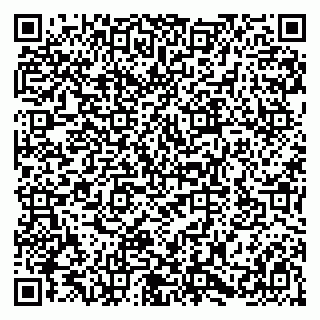 vCard 79580101493