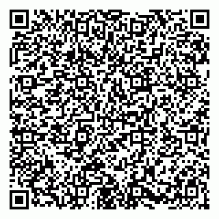 vCard 79580101729