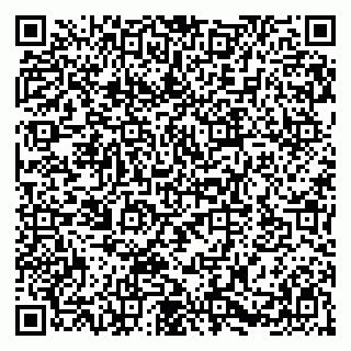 vCard 79580101776