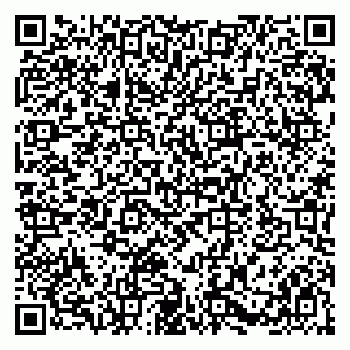vCard 79580101907
