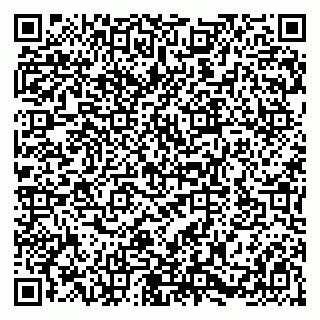 vCard 79580101913