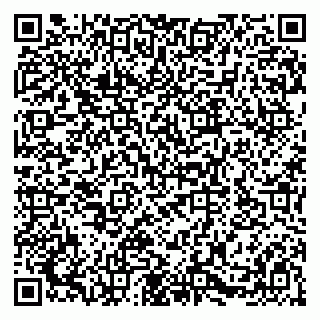 vCard 79580102053