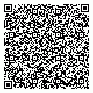vCard 79580102131