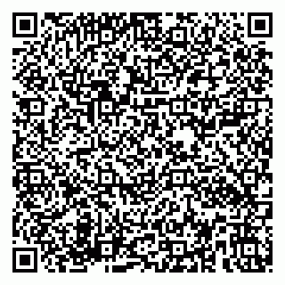 vCard 79580102133