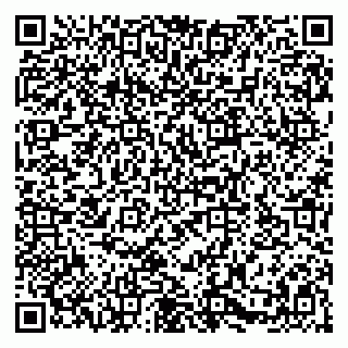 vCard 79580102741
