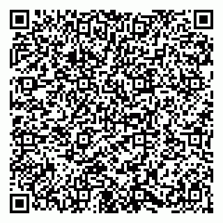 vCard 79580102994